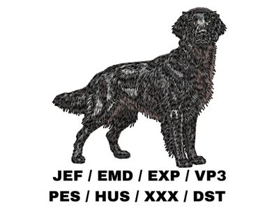 Flat Coated Retriever 3 - Full Body