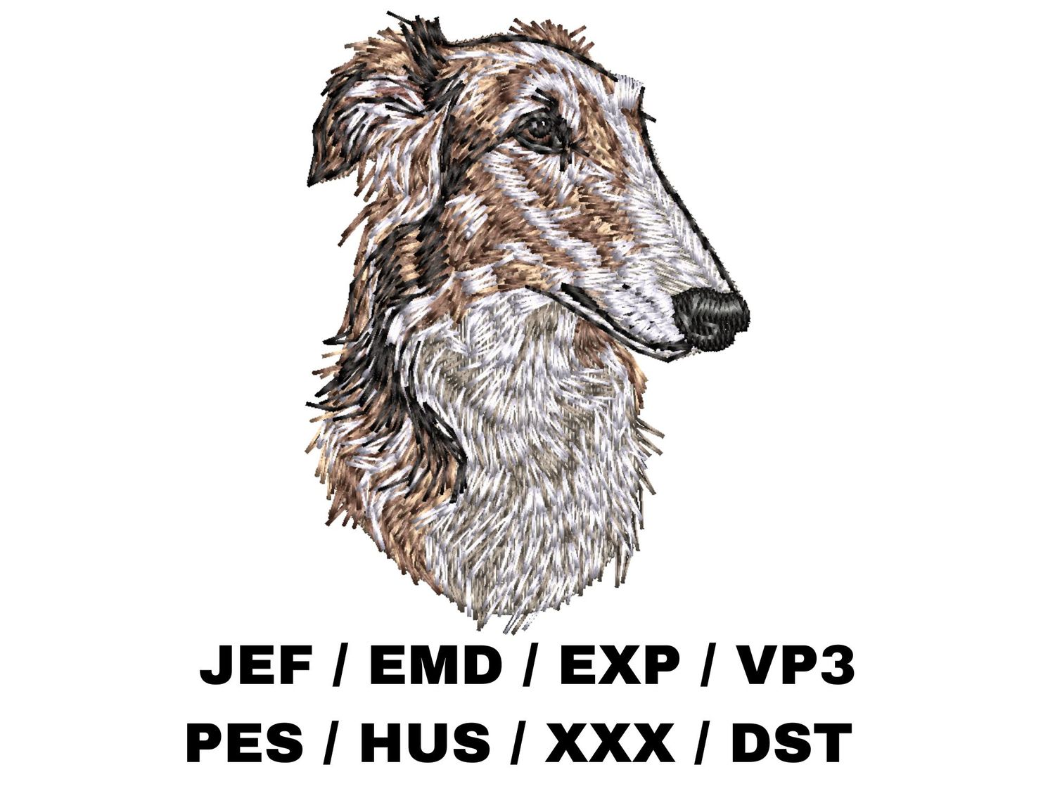 Borzoi 2