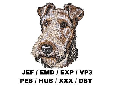 Wire Fox Terrier 2