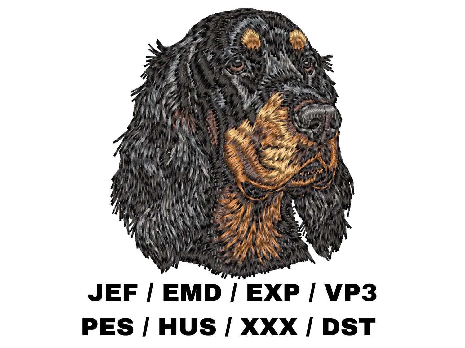 Gordon Setter 2