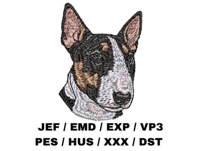 Miniature Bull Terrier 2