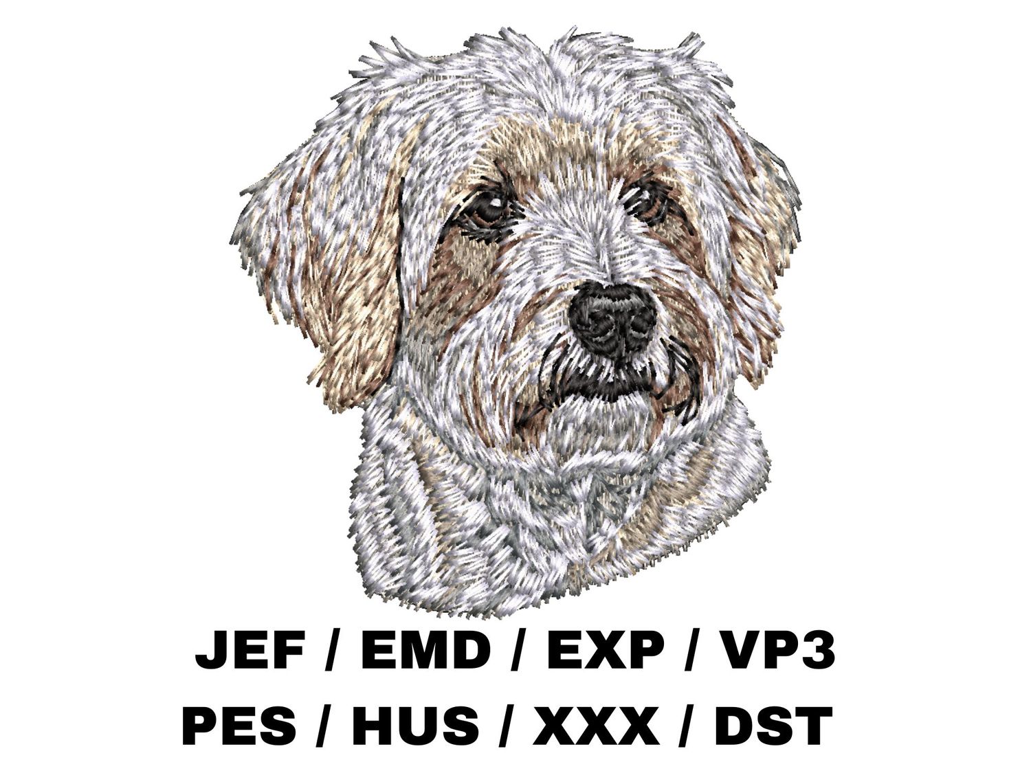 Tibetan Terrier 2