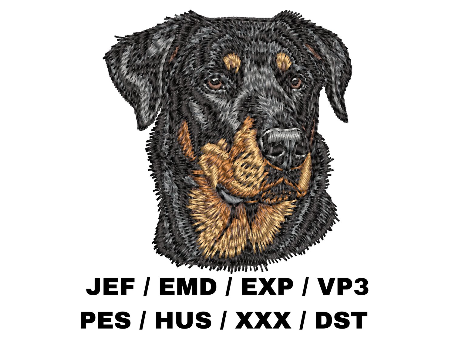 Beauceron 2