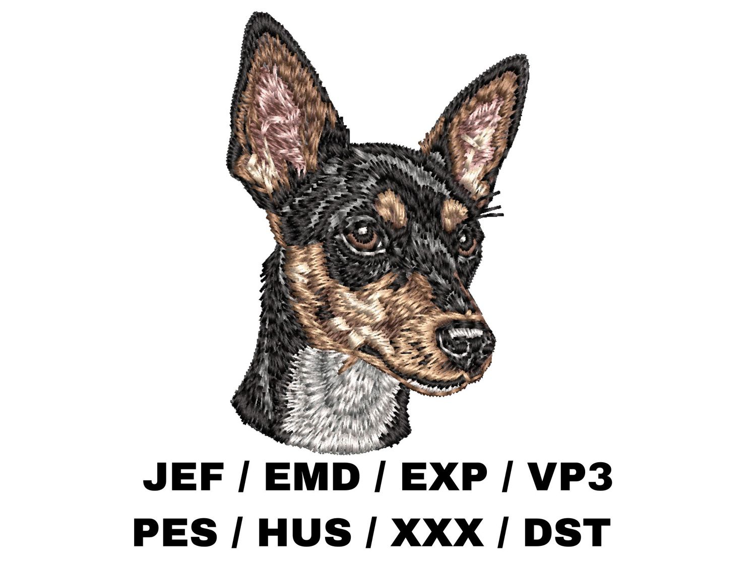 Toy Fox Terrier 2