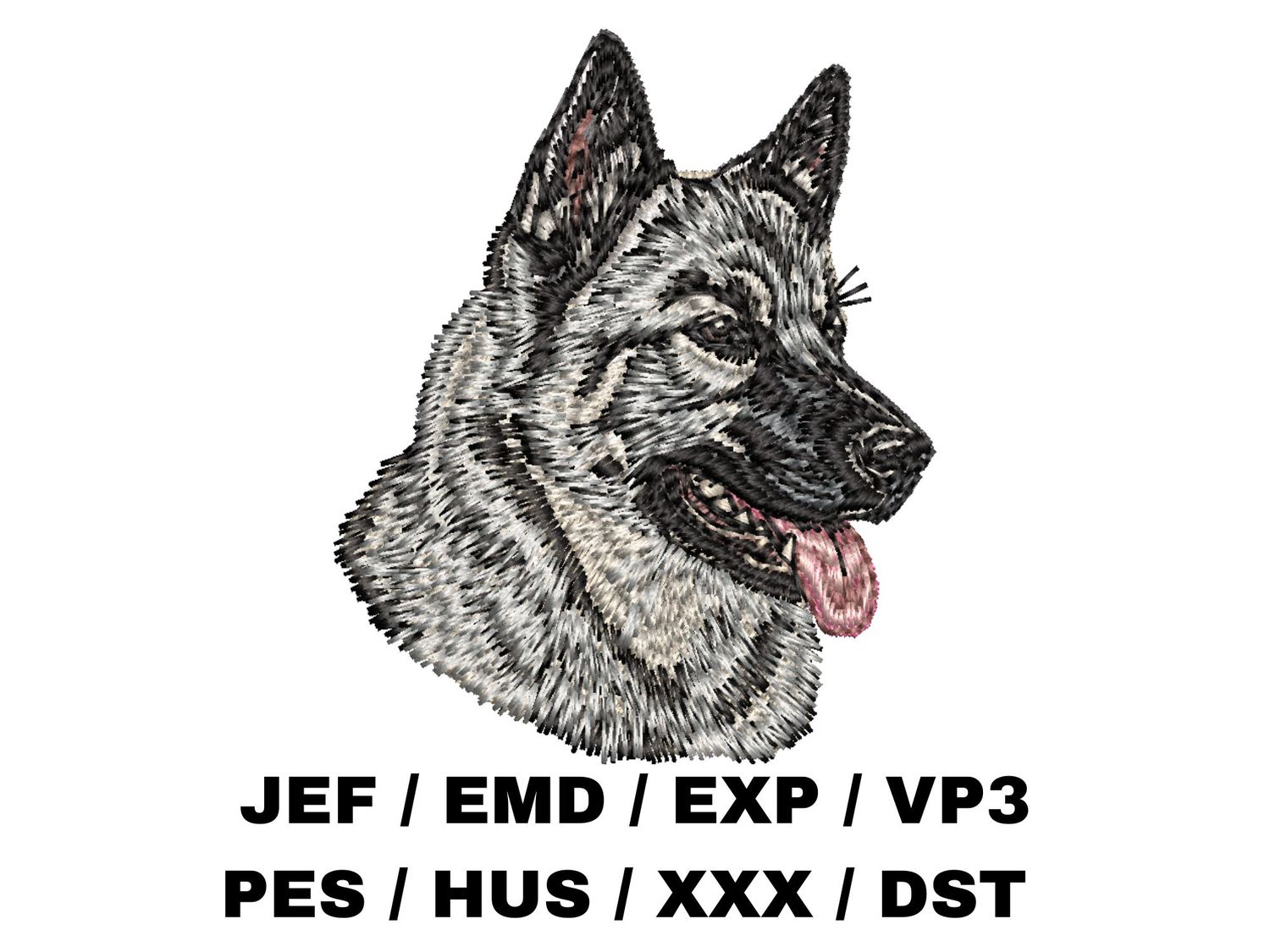 Norwegian Elkhound 2