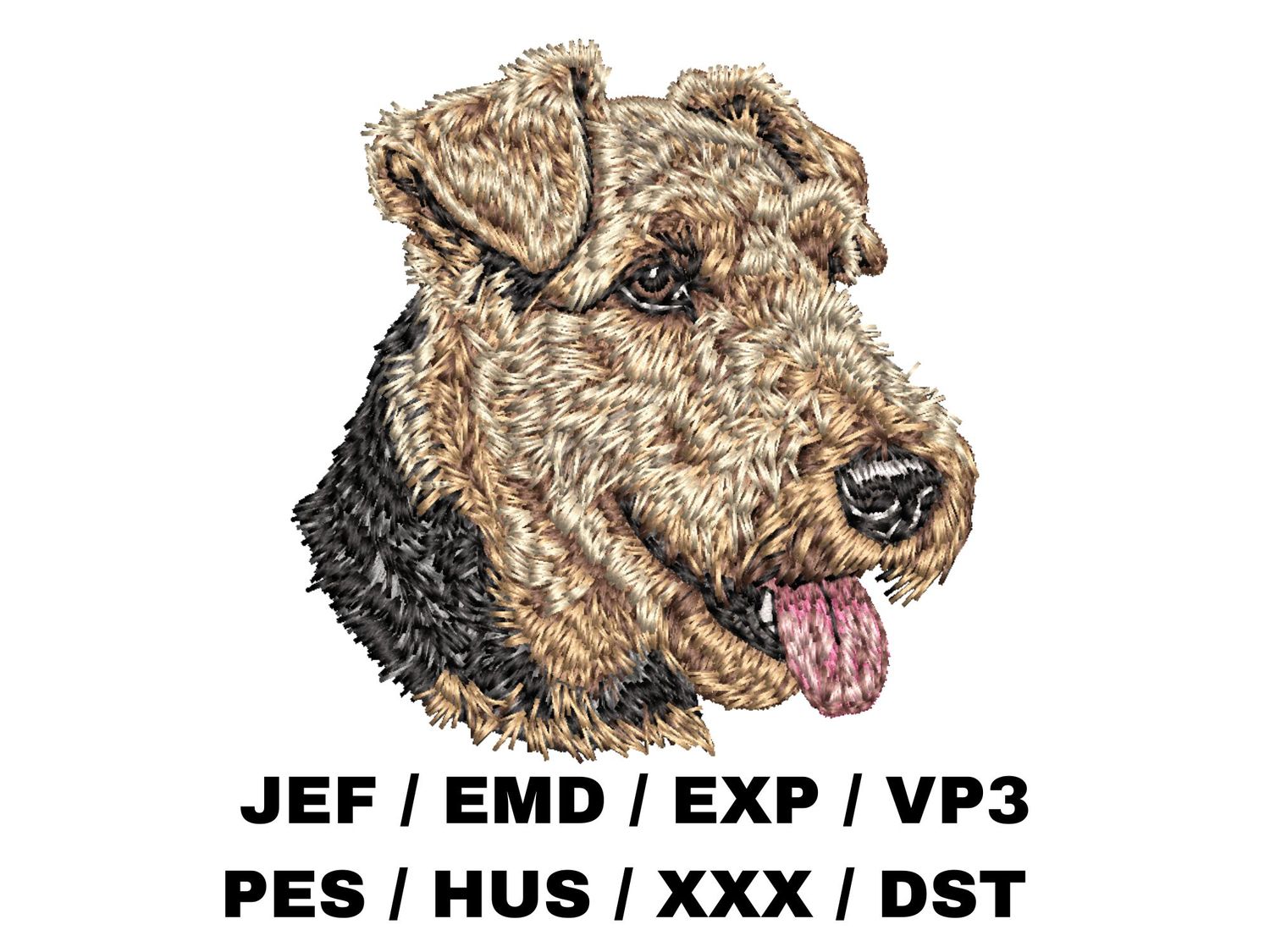 Welsh Terrier 2