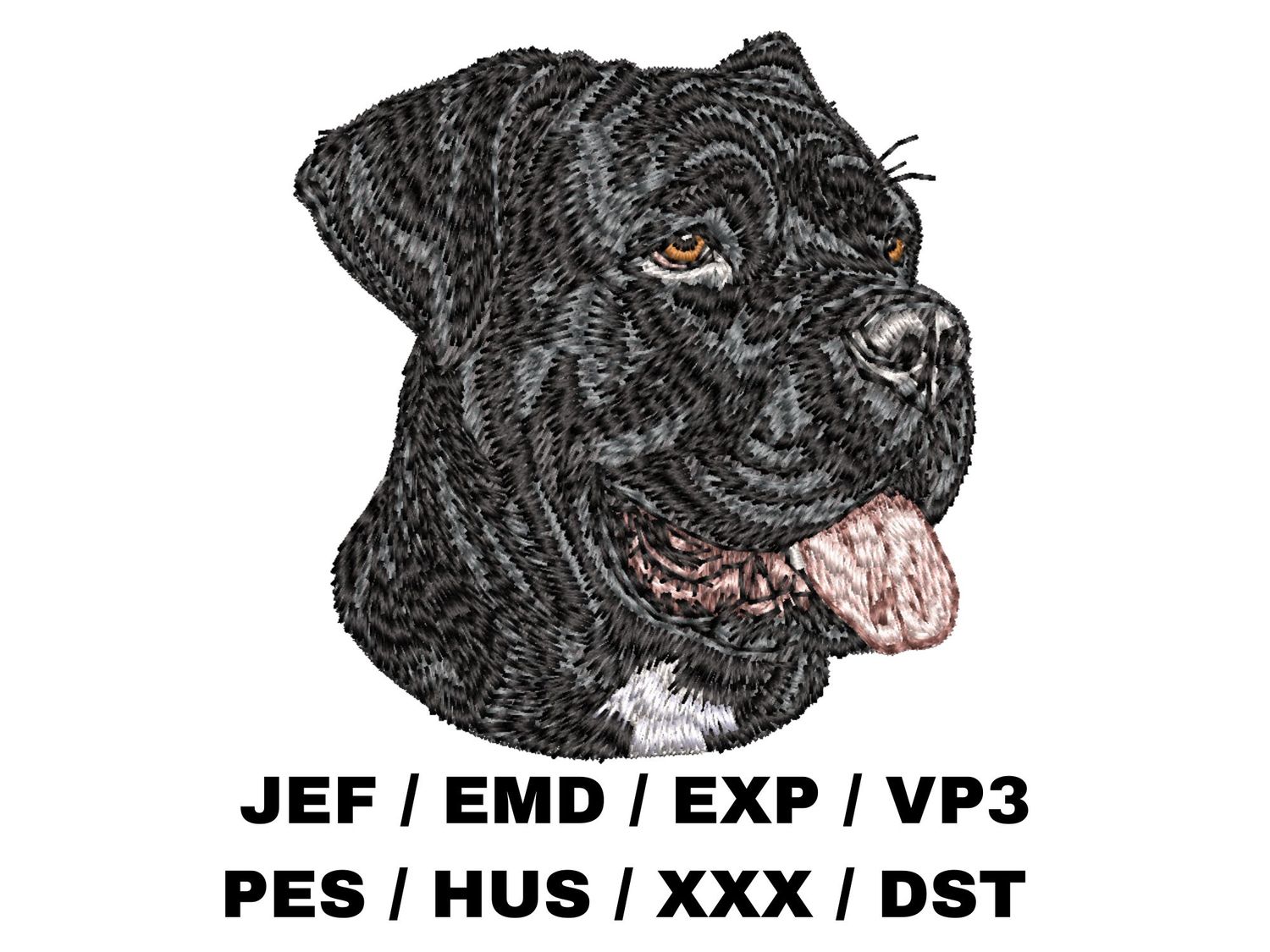 Cane Corso 6