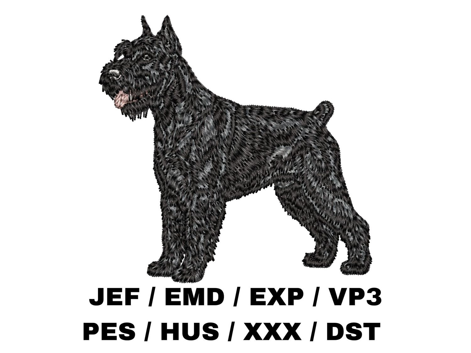 Giant Schnauzer 4 - Full Body