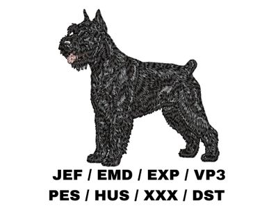 Giant Schnauzer 4 - Full Body