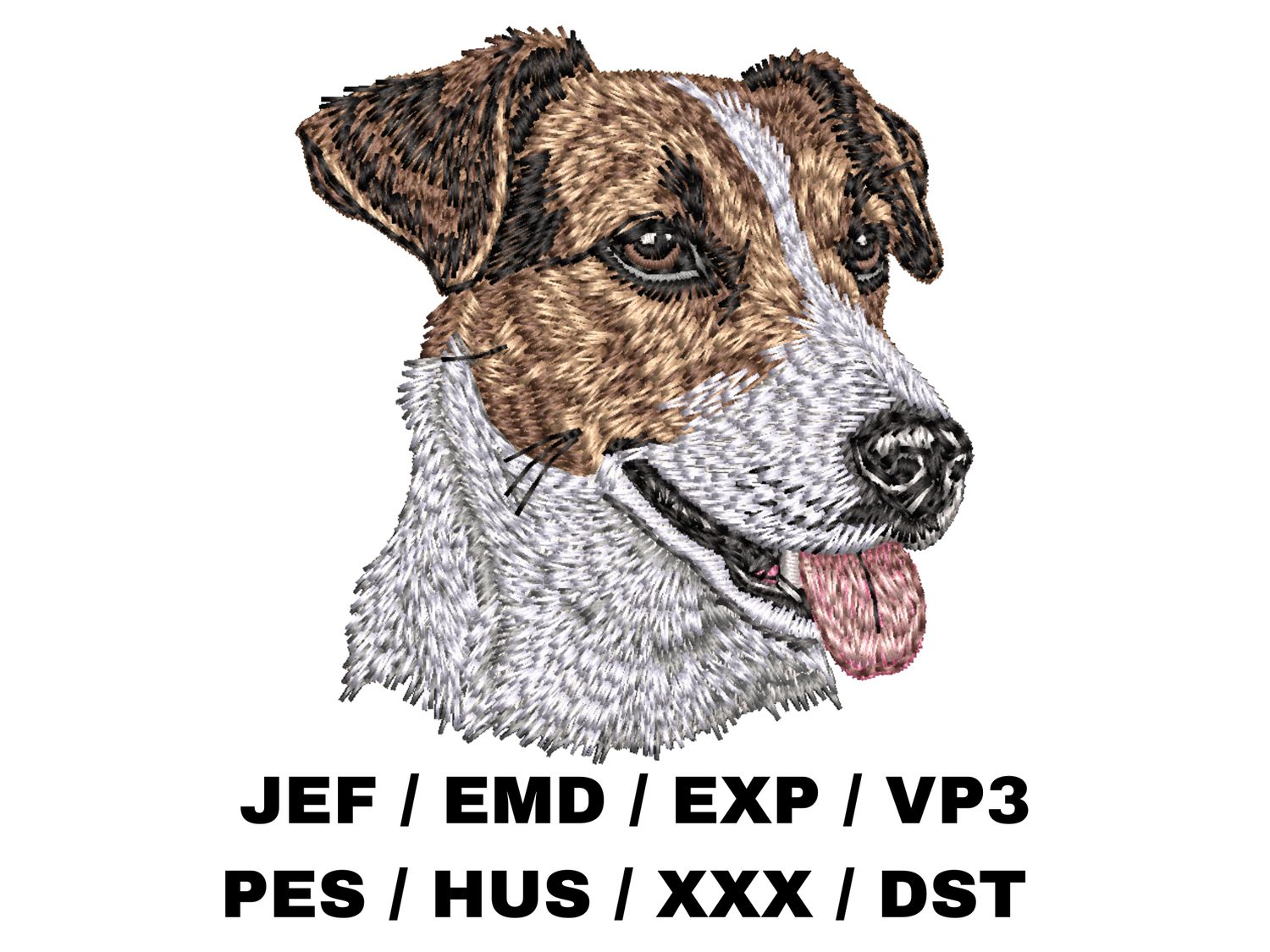 Parson Russell Terrier 2
