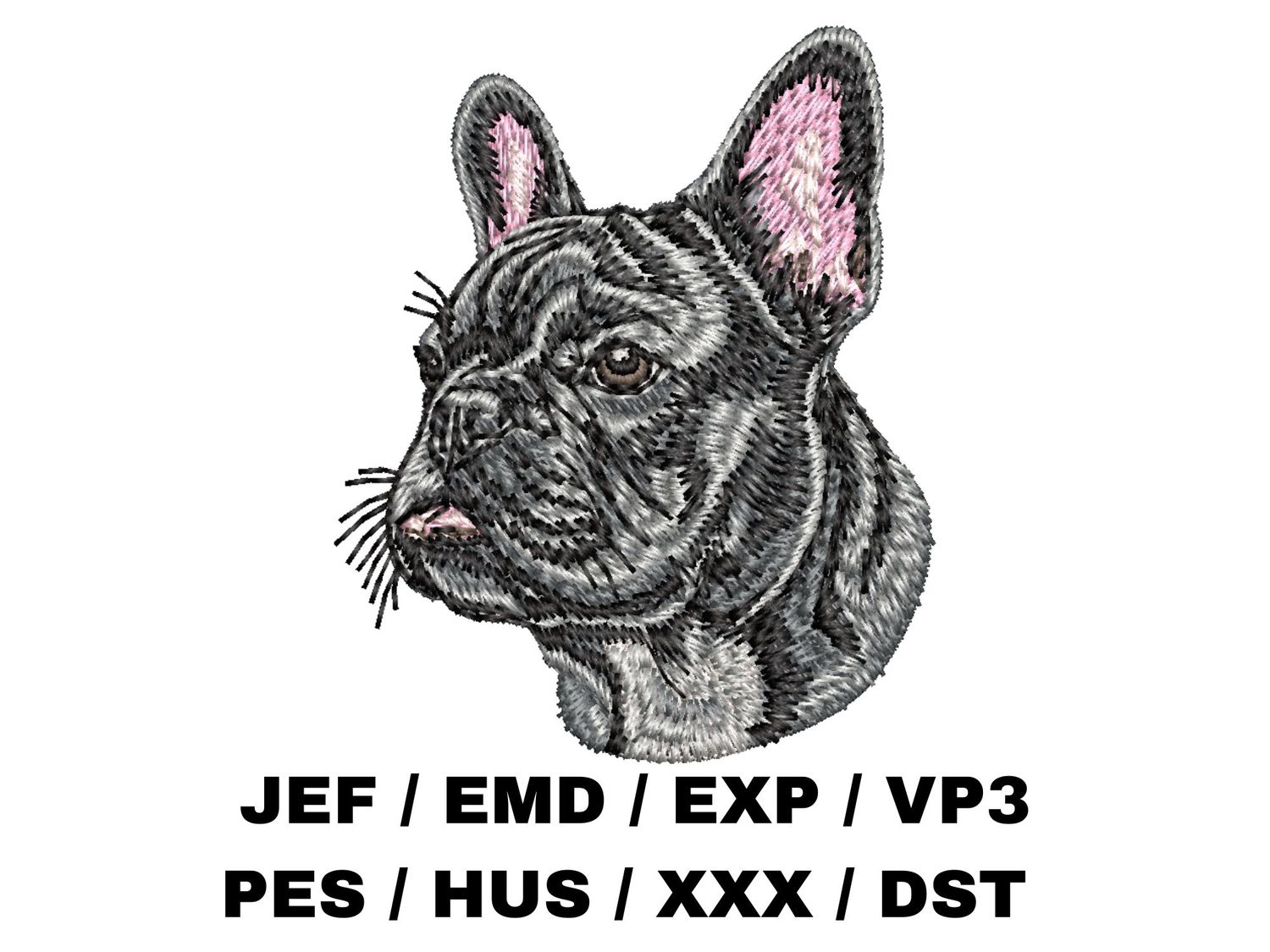 French Bulldog 11
