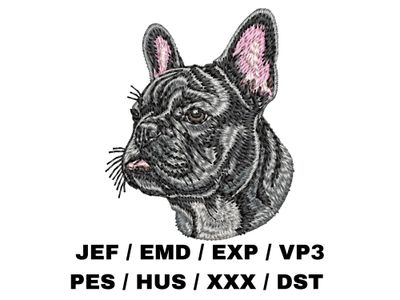French Bulldog 11
