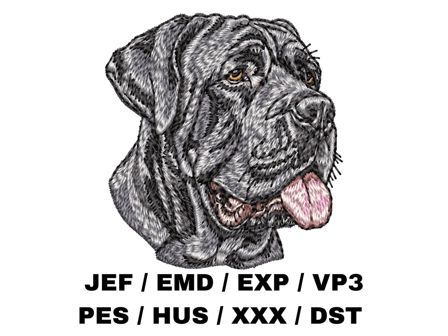 Neapolitan Mastiff 2