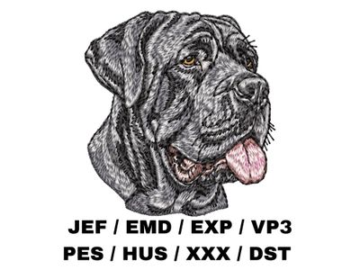 Neapolitan Mastiff 2