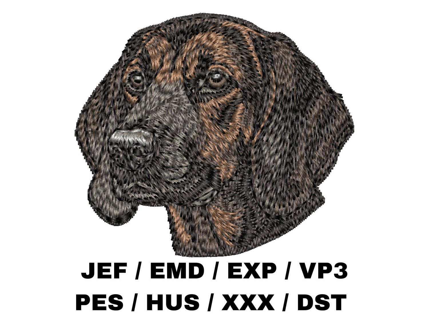 Bavarian Mountain Scent Hound 1