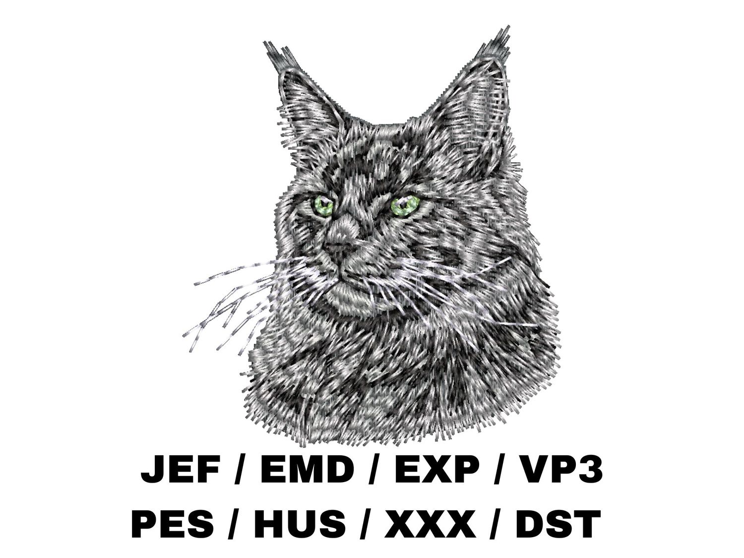 Maine Coon 5