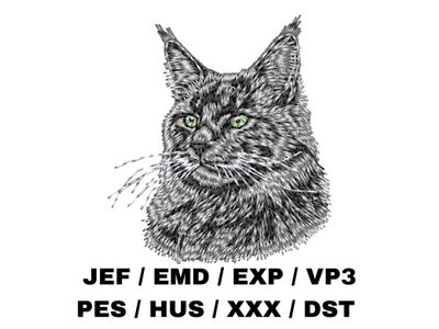 Maine Coon 5