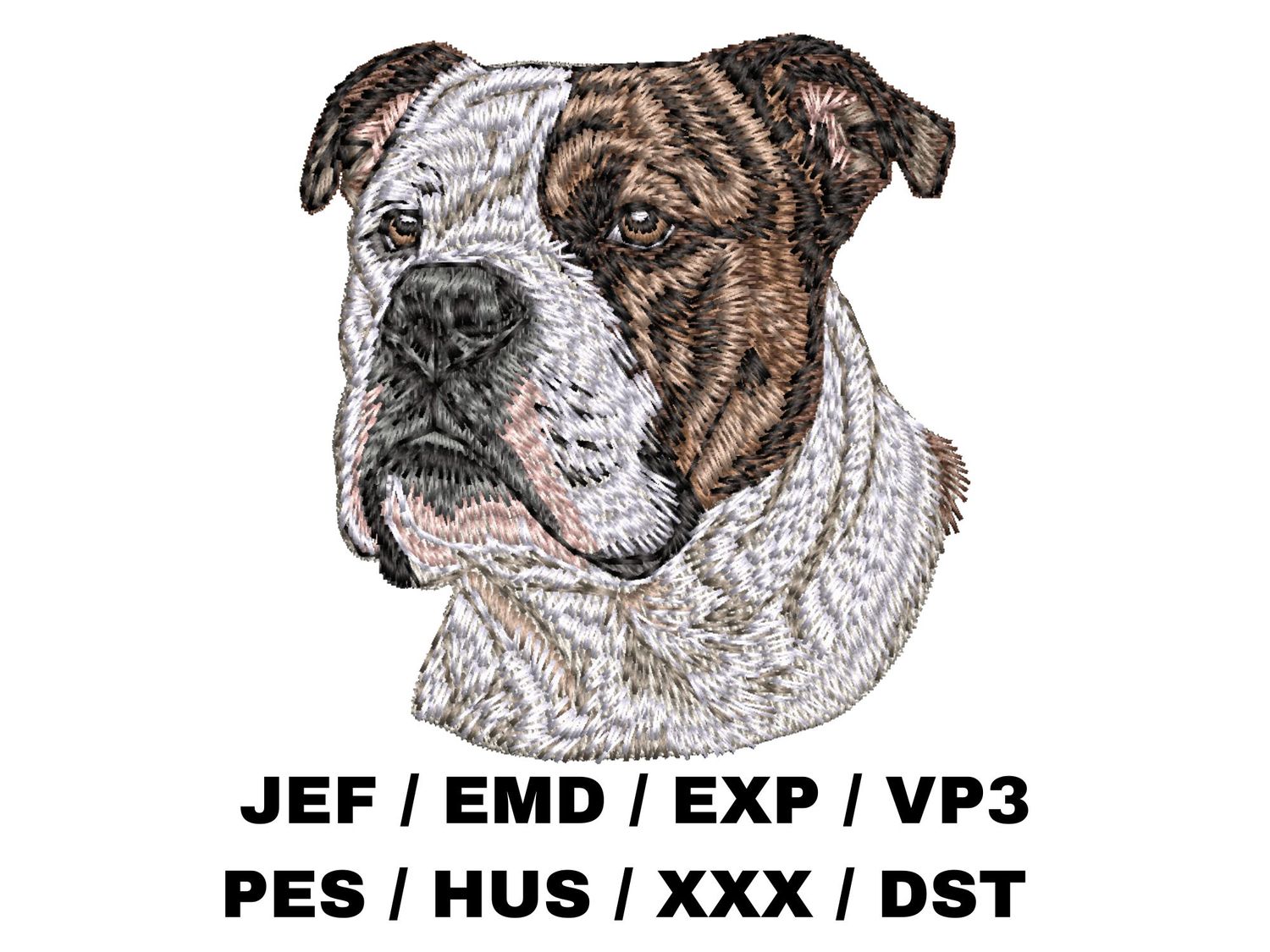 American Bulldog 1