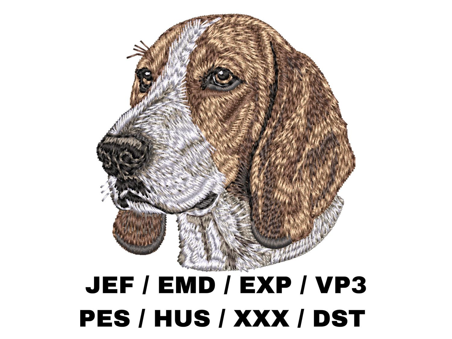 American Foxhound 1