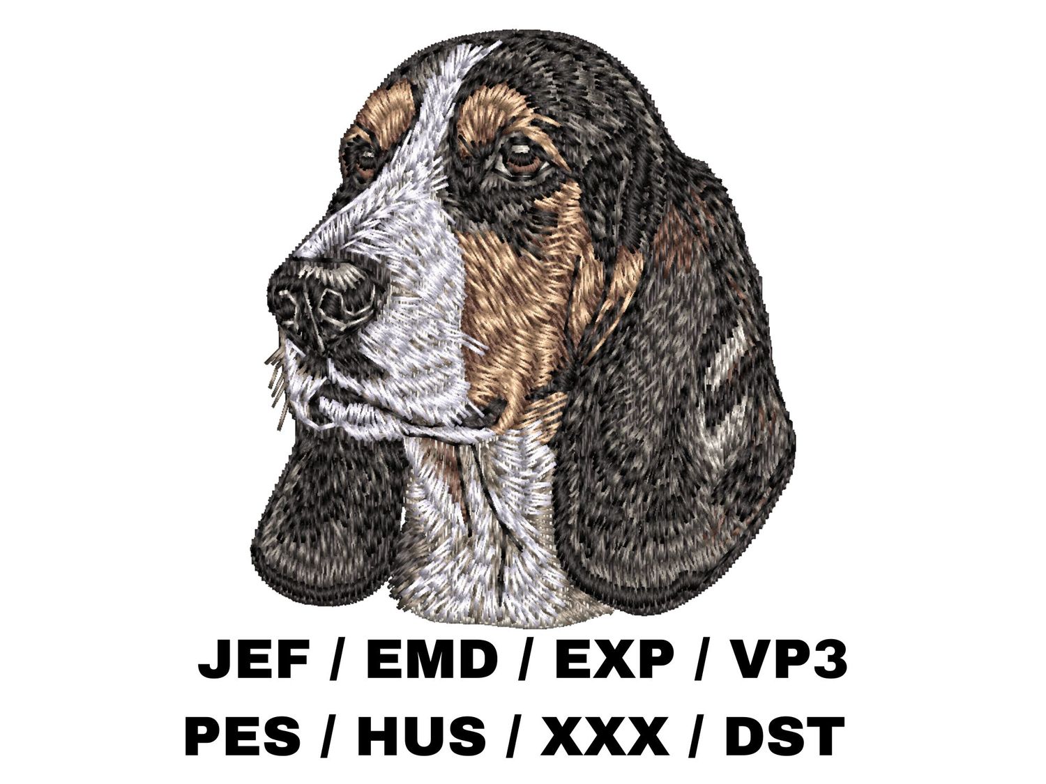 Basset Artesien Normand 1