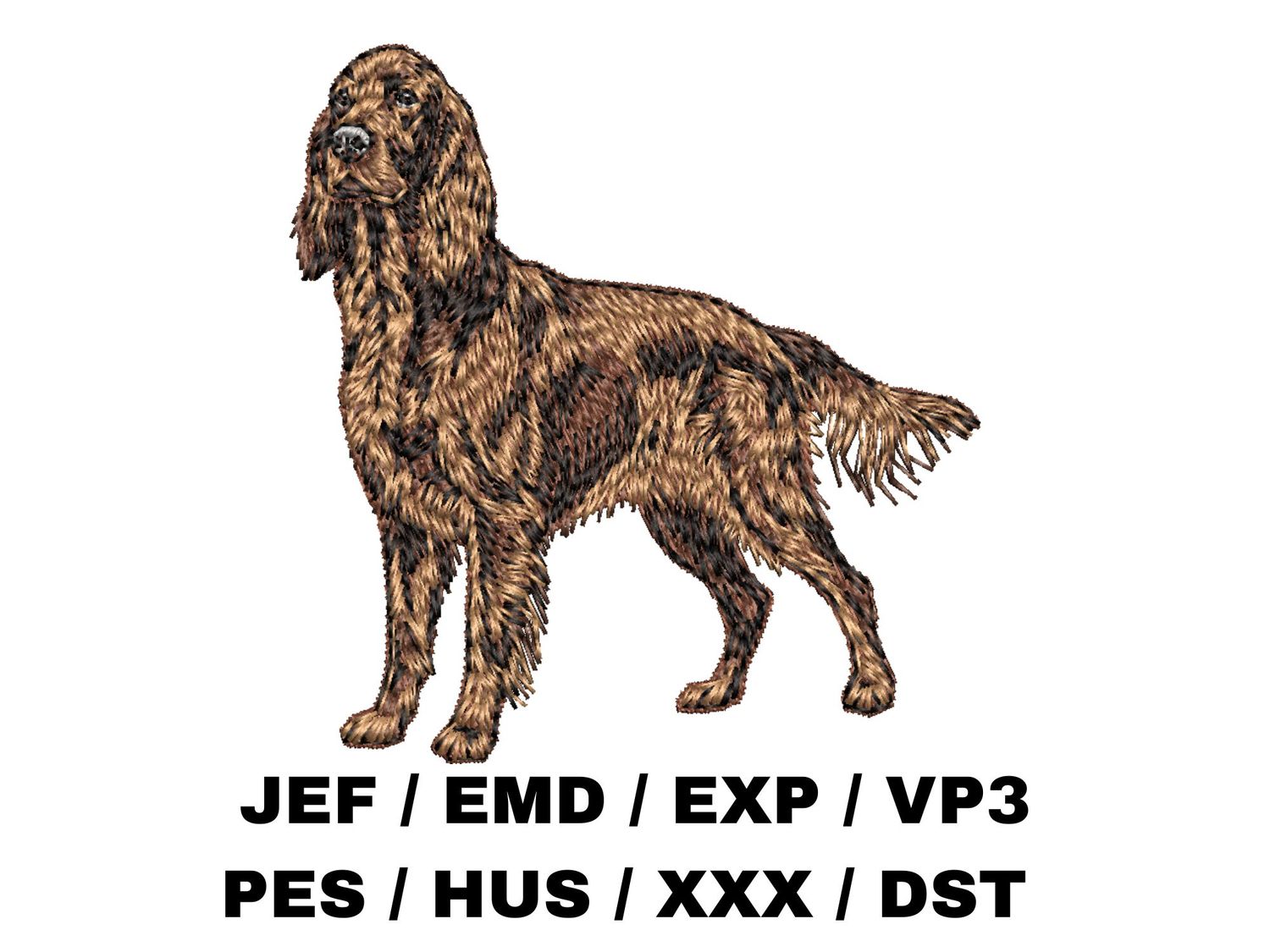 Irish Setter 7 - Full Body