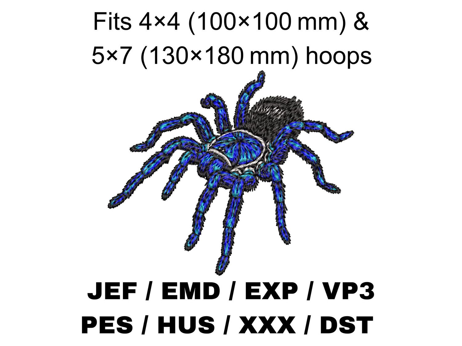 Electric Blue Earth Tiger Tarantula