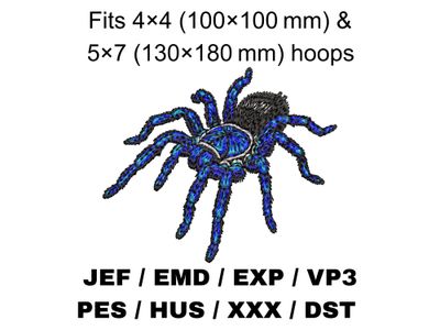 Electric Blue Earth Tiger Tarantula