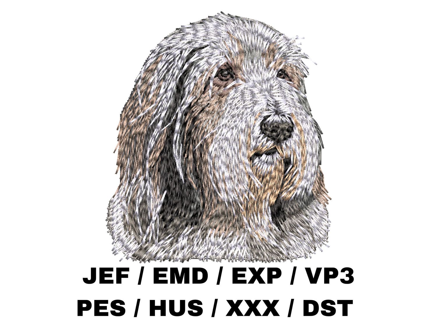 Bearded Collie 3