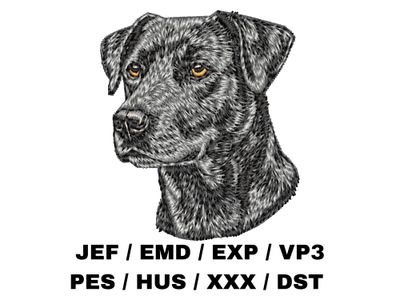 Blue Lacy 1