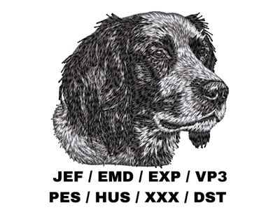 Blue Picardy Spaniel 1