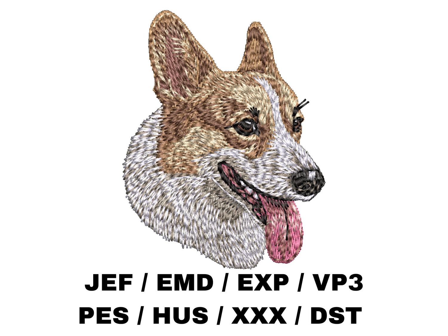 Pembroke Welsh Corgi 9