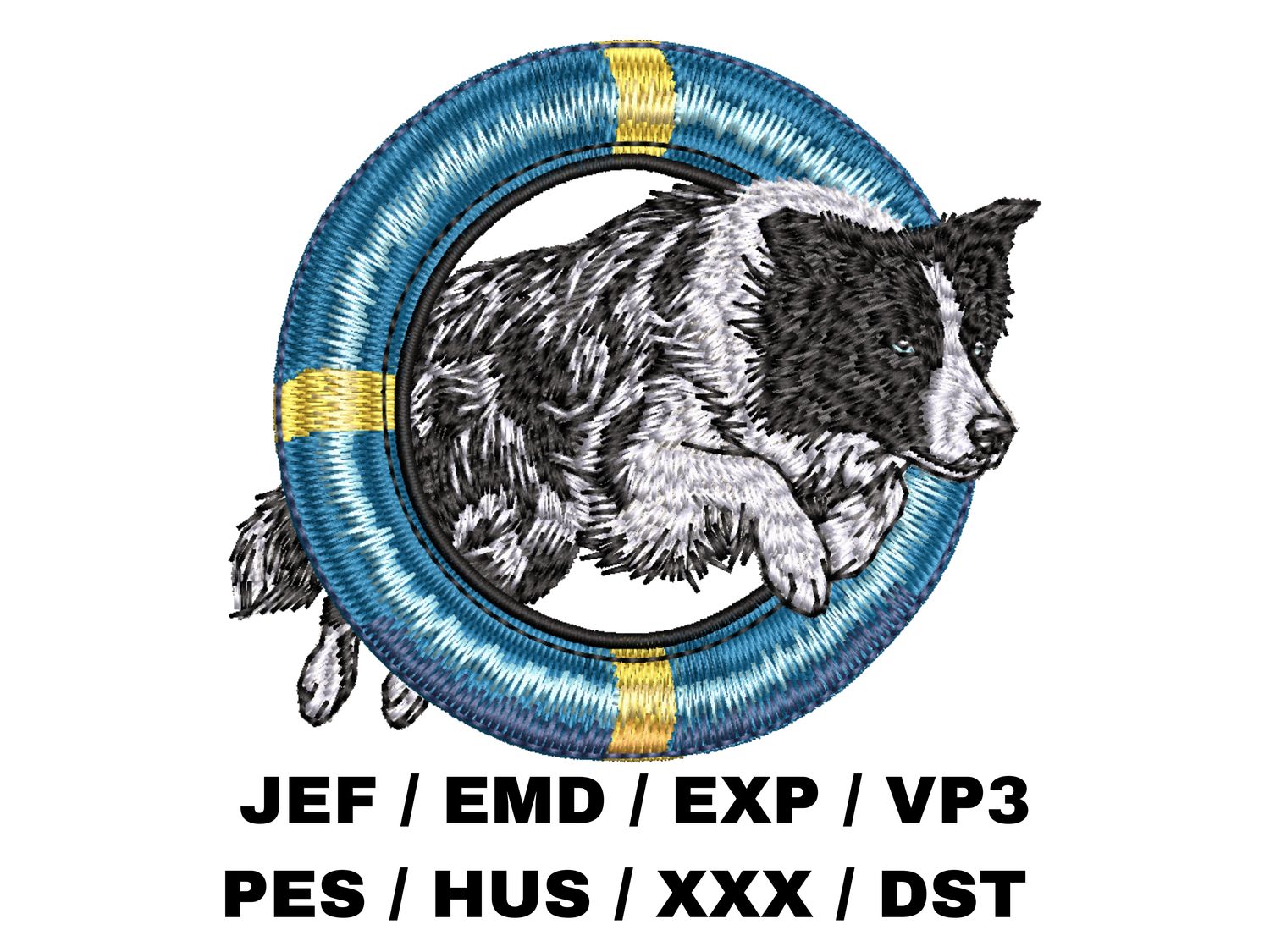 Border Collie 9 - Agility