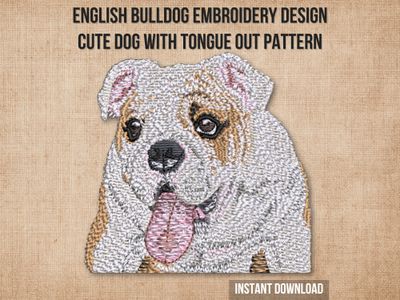 English Bulldog 1