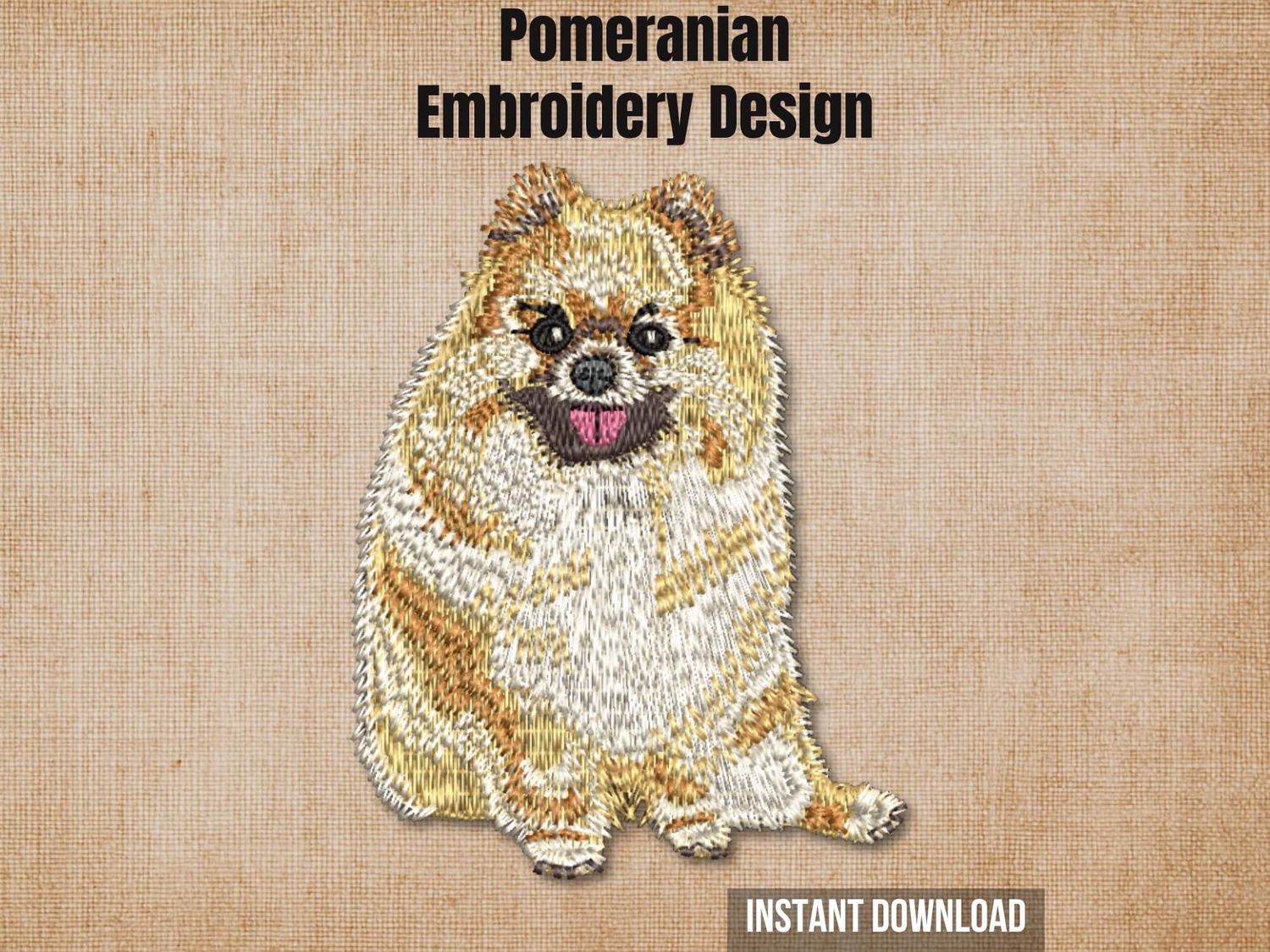 Pomeranian 1 - Full Body