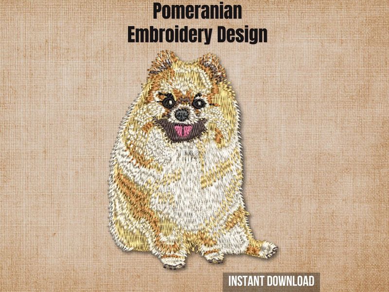 Pomeranian 1 - Full Body