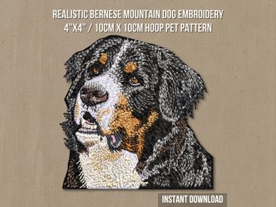 Bernese Mountain Dog 2