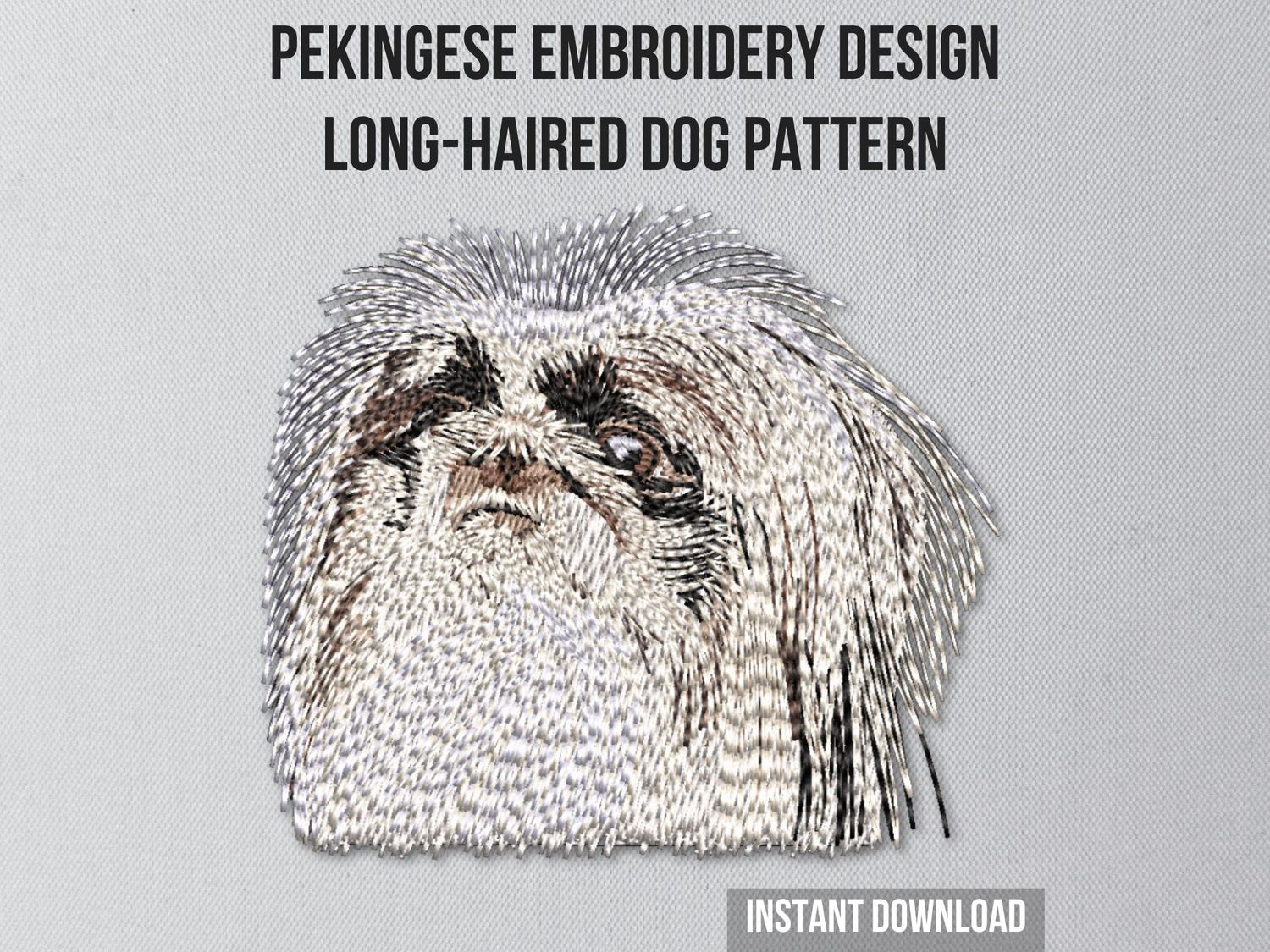 Pekingese 1