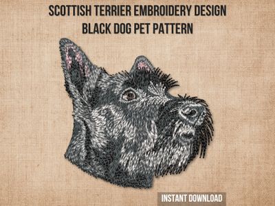 Scottish Terrier 2