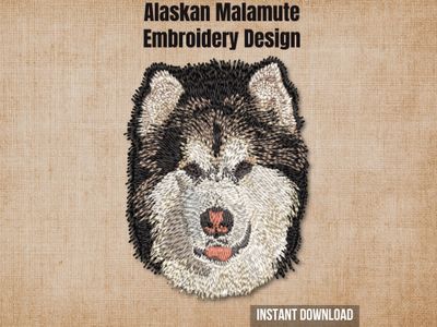 Alaskan Malamute