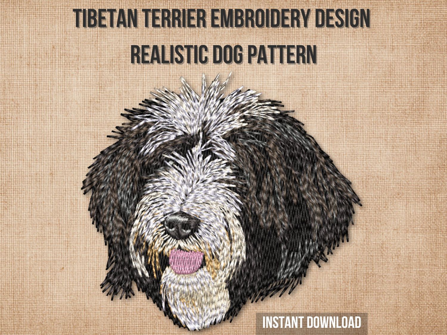 Tibetan Terrier 1