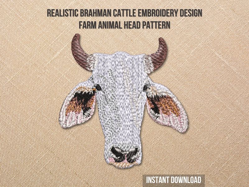 Brahman Cattle