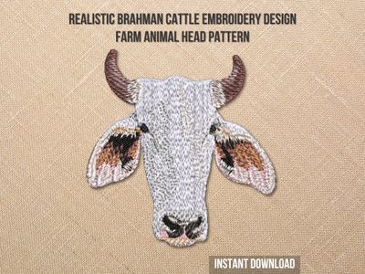 Brahman Cattle