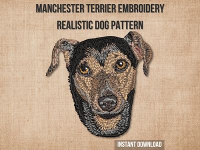 Manchester Terrier