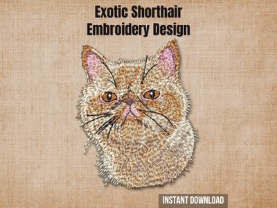 Exotic Shorthair cat embroidery design mockup on a textured brown background with "Instant Download" text.