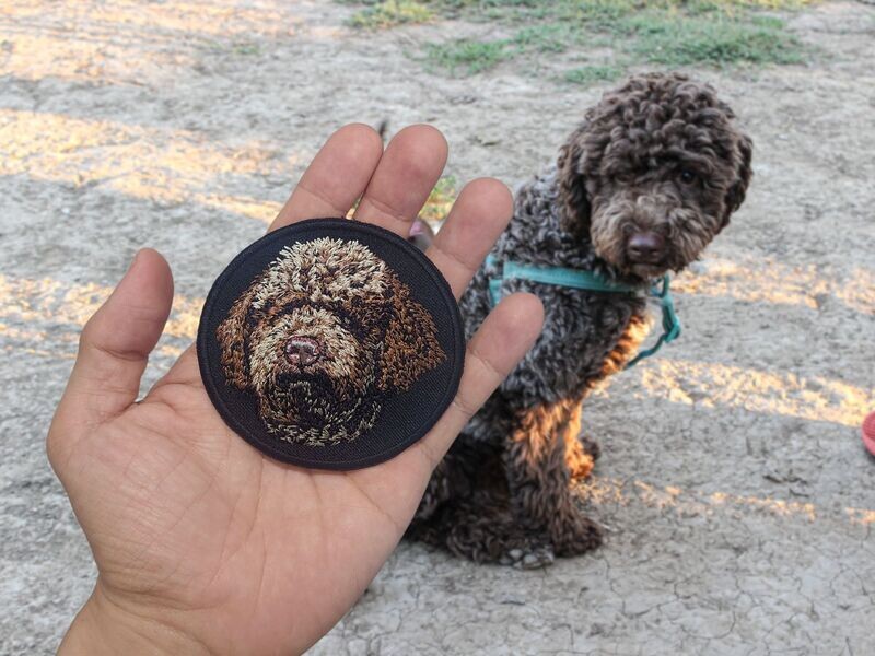 Hand holding a round embroidered patch of a curly brown dog, with the same dog sitting behind wearing a green harness.