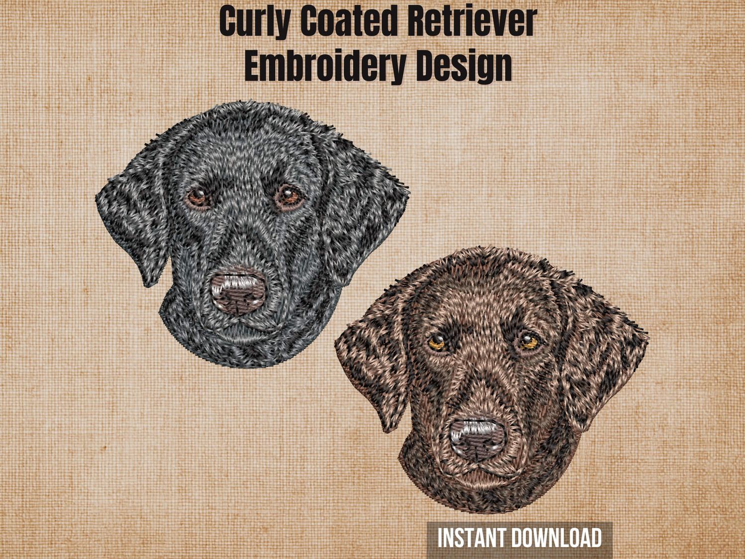 Burlap background with two color variations of the Curly Coated Retriever machine embroidery design with instant download tag