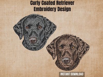 Burlap background with two color variations of the Curly Coated Retriever machine embroidery design with instant download tag