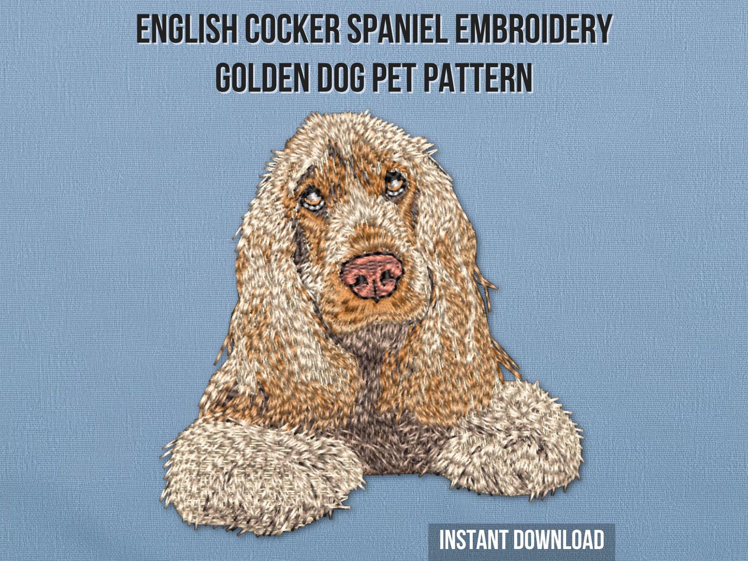 English Cocker Spaniel 4
