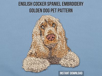 English Cocker Spaniel 4
