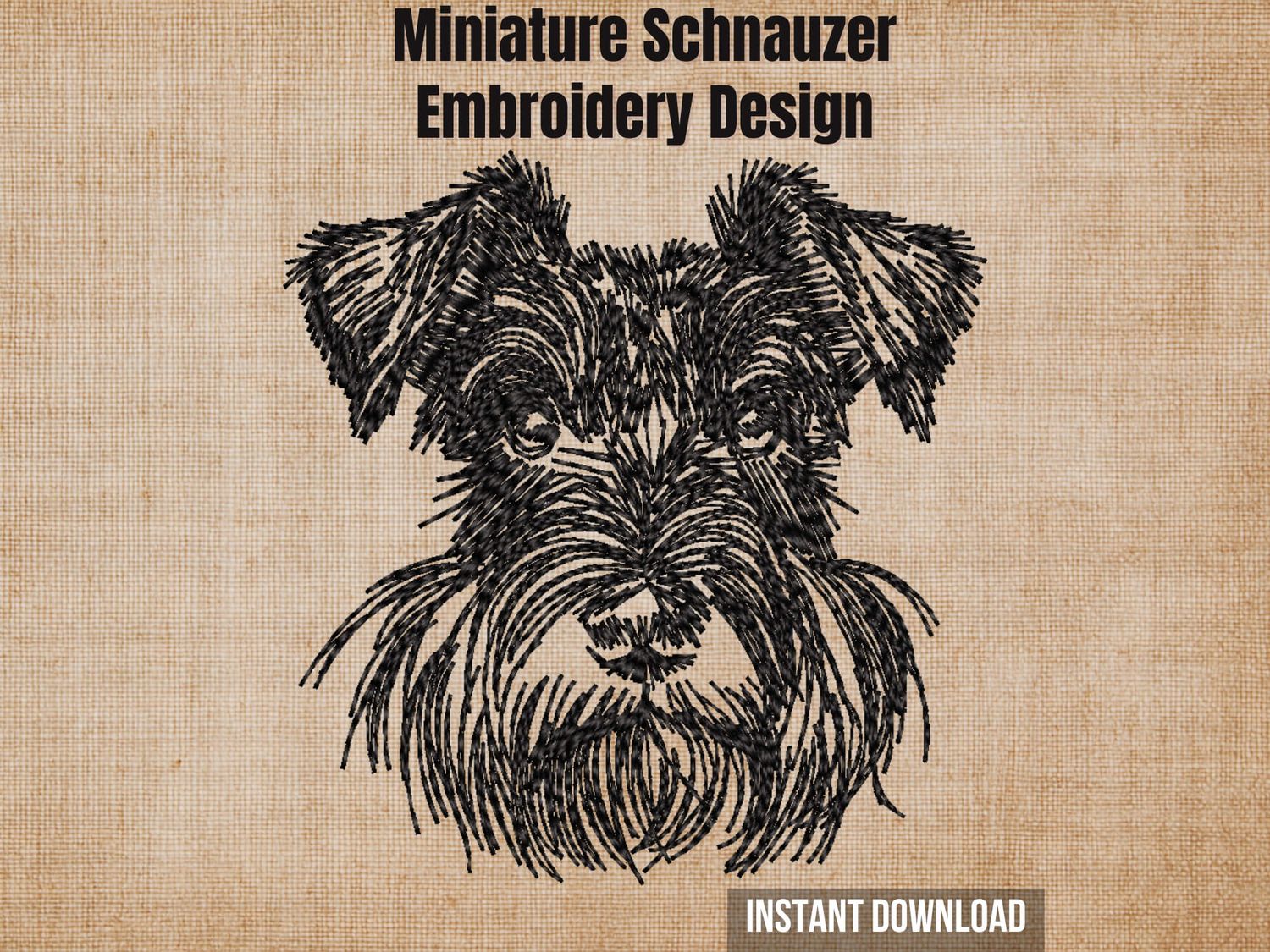 Miniature Schnauzer Sketch